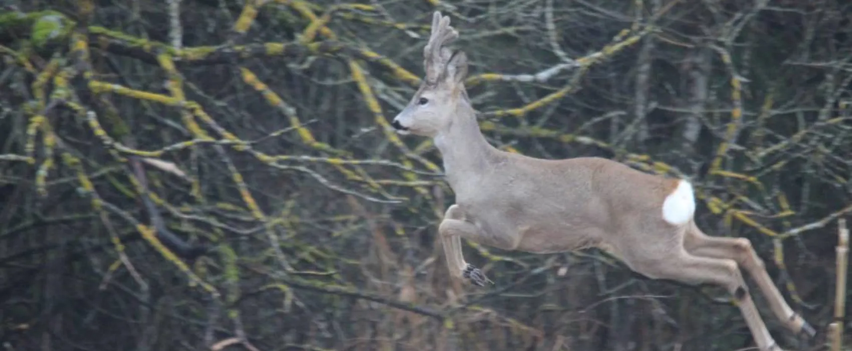 Agroecology Hutor of Komaryszkii