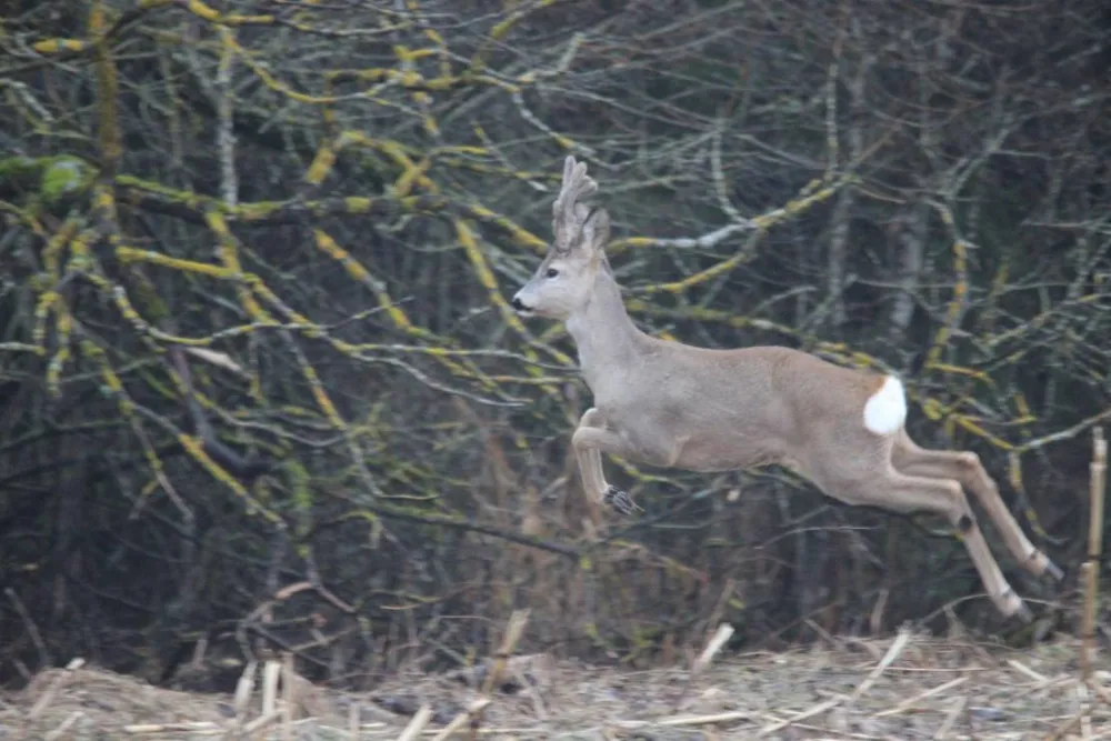 Agroecology Hutor of Komaryszkii