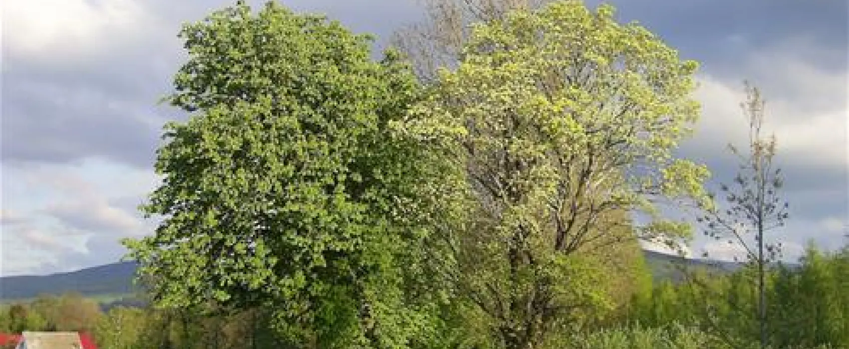 Pension Educare Agroturistik Wolimierz