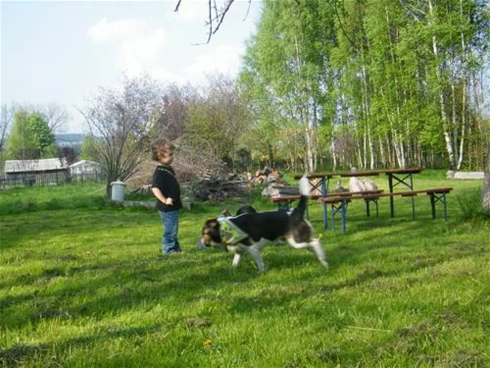 Pension Educare Agroturistik Wolimierz