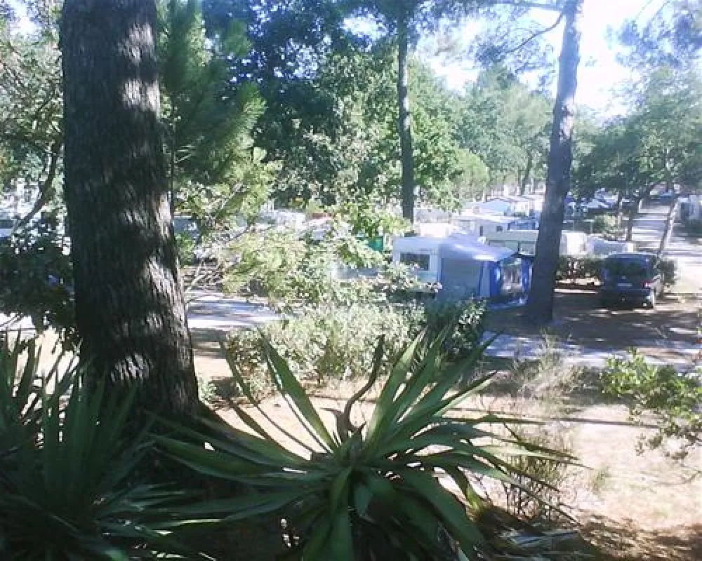 Camping Fontaine Vieille