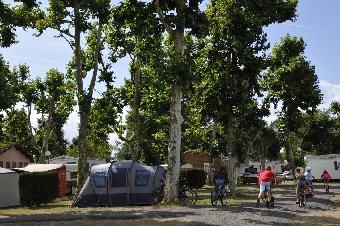 Camping Les Abberts photo 5