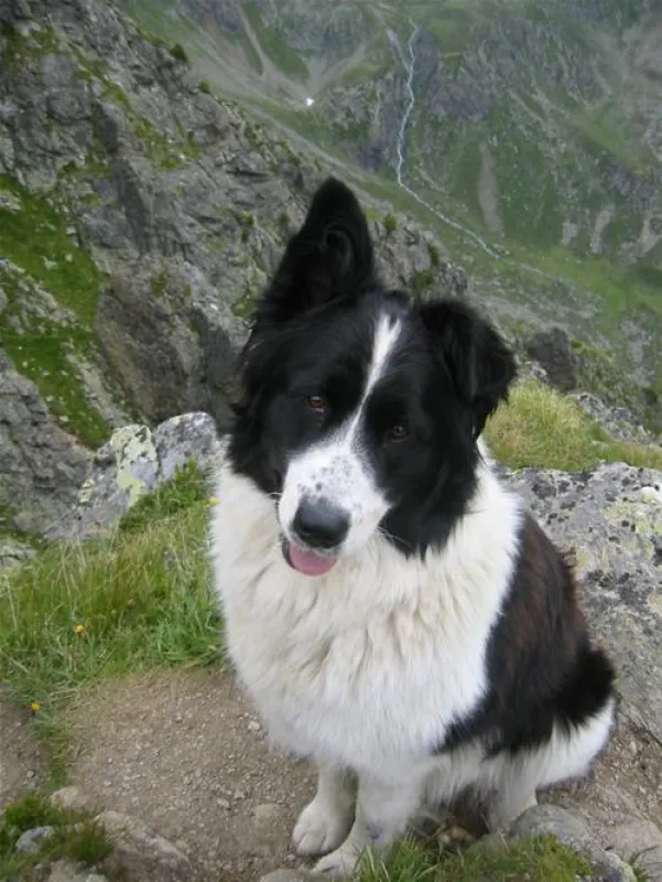 Mountain Camp Pitztal