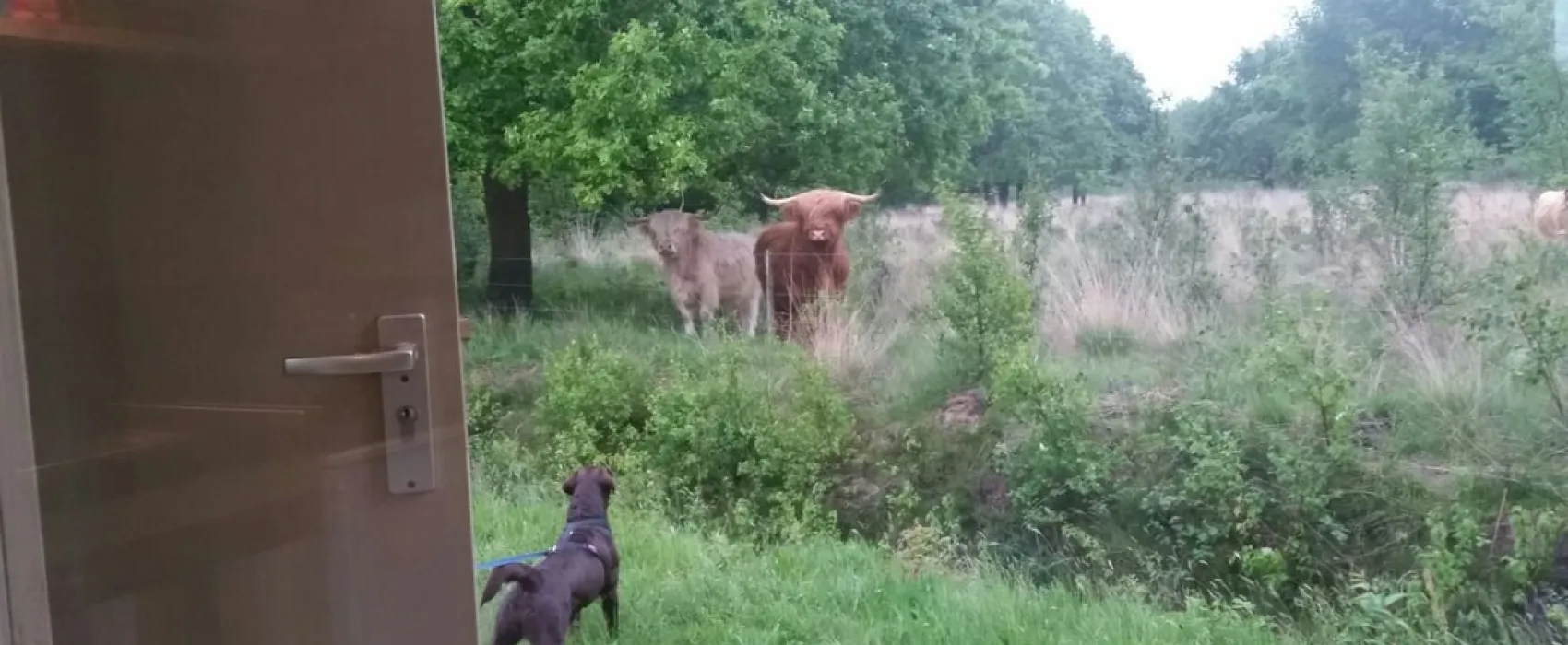 Natuurkampeerterrein Voscheheugte