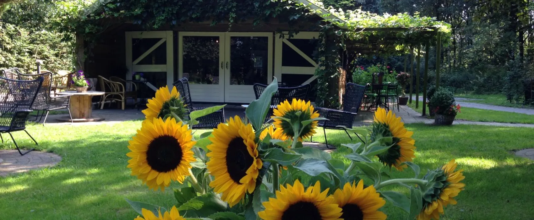 Natuurkampeerterrein Voscheheugte