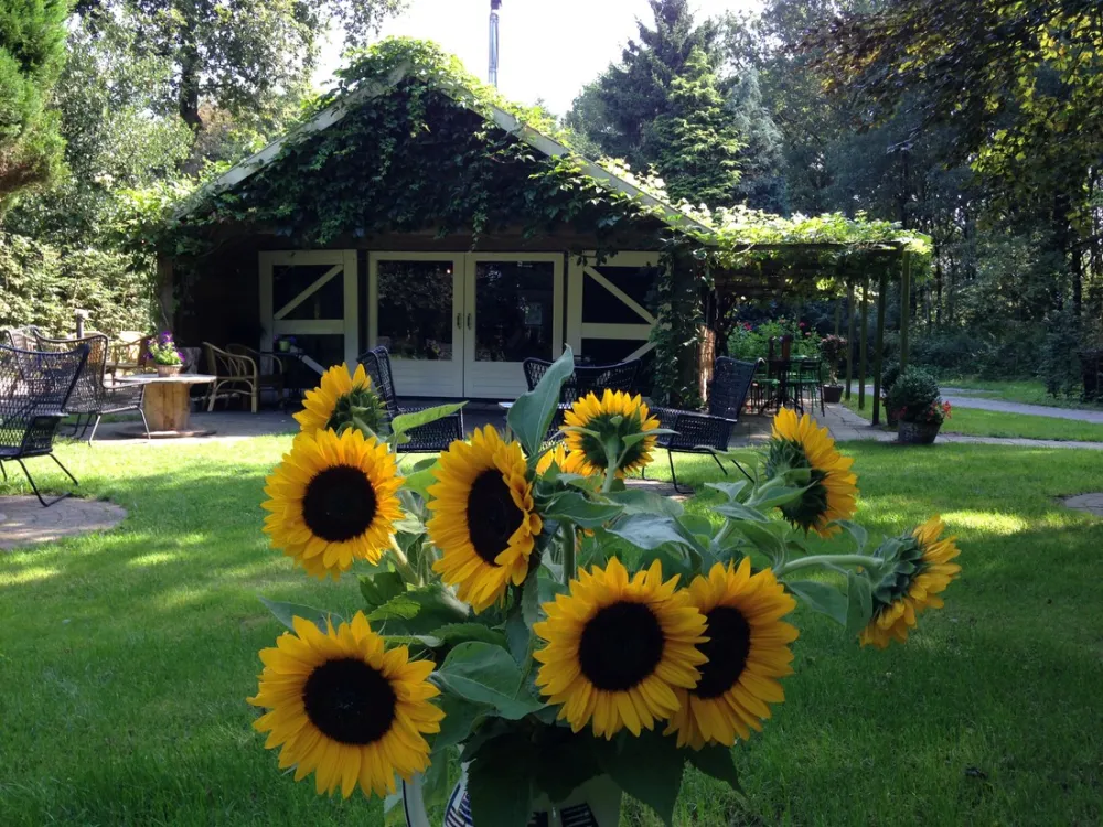 Natuurkampeerterrein Voscheheugte