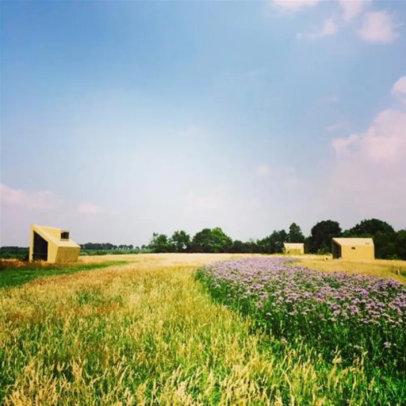 Natuurkampeerterrein Voscheheugte