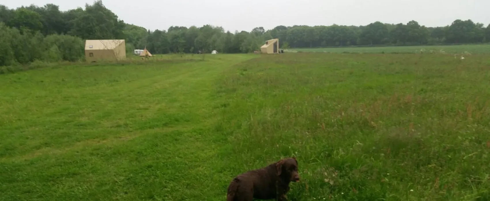 Natuurkampeerterrein Voscheheugte