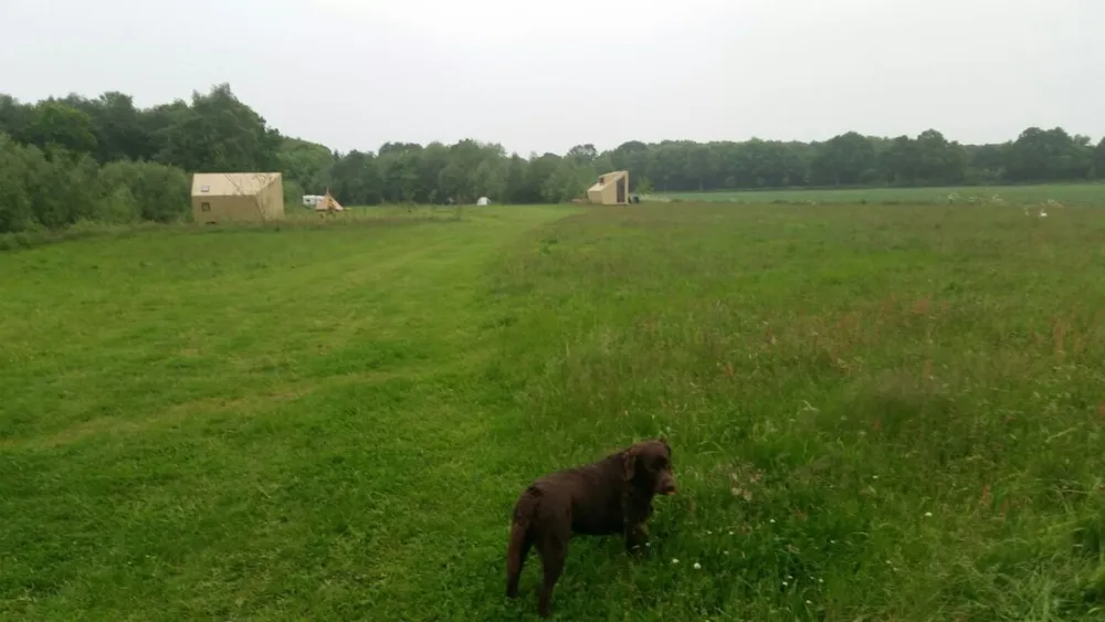 Natuurkampeerterrein Voscheheugte