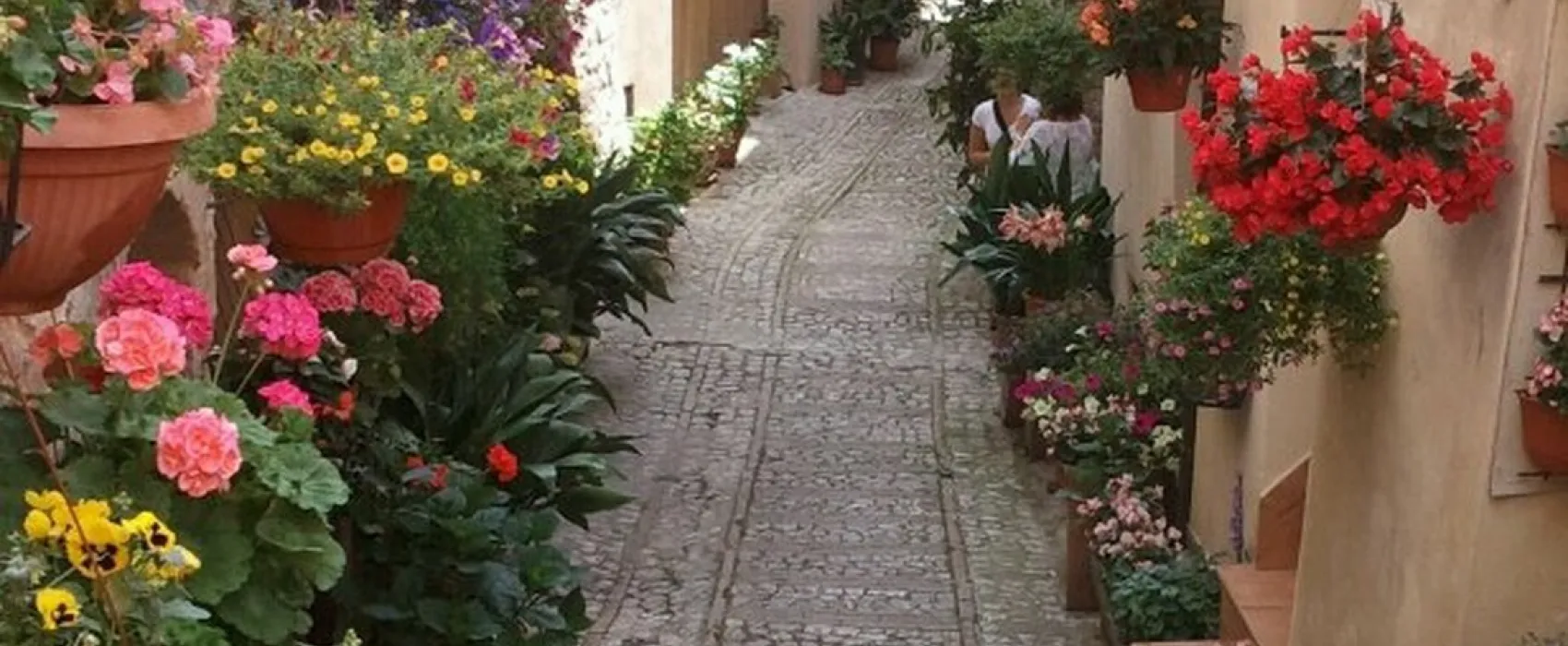 Campeggio Pian di Boccio