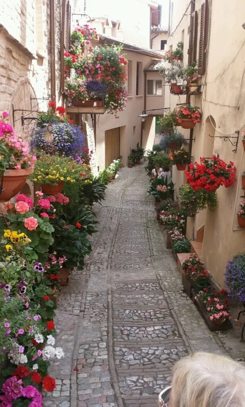 Campeggio Pian di Boccio