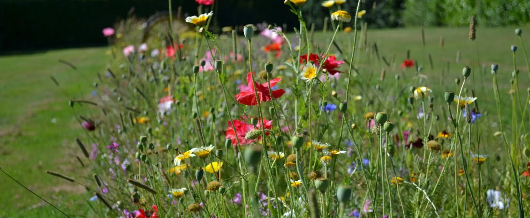 Camping Erve Harkink