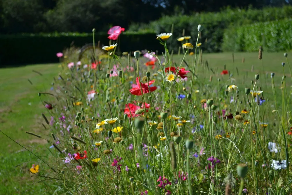 Camping Erve Harkink