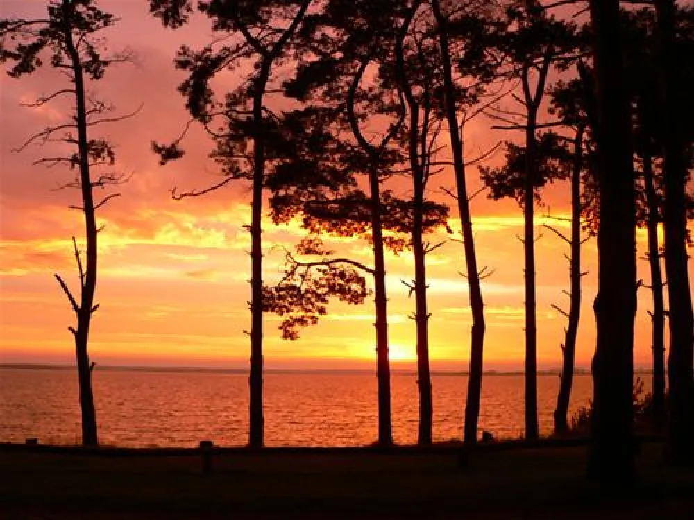 Natur Camping Usedom