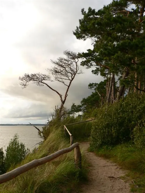 Natur Camping Usedom