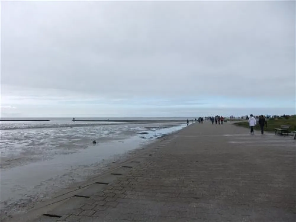 Nordsee-Camp Norddeich