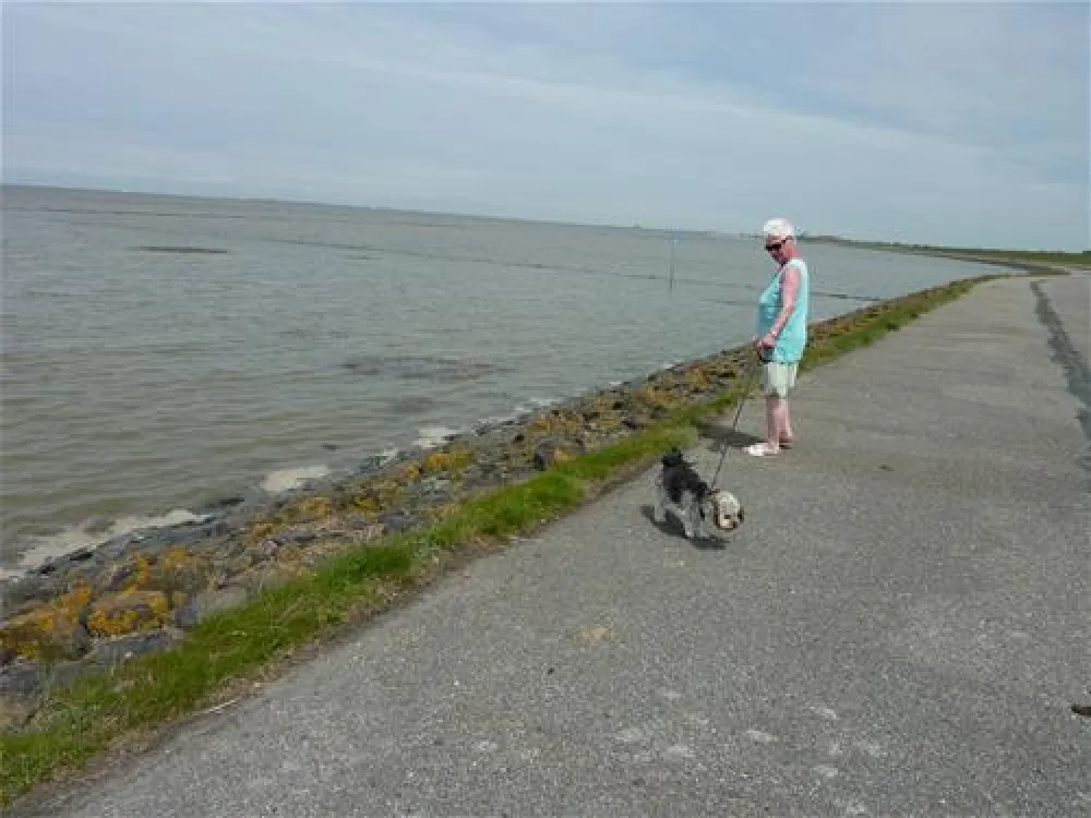 Nordsee-Camp Norddeich