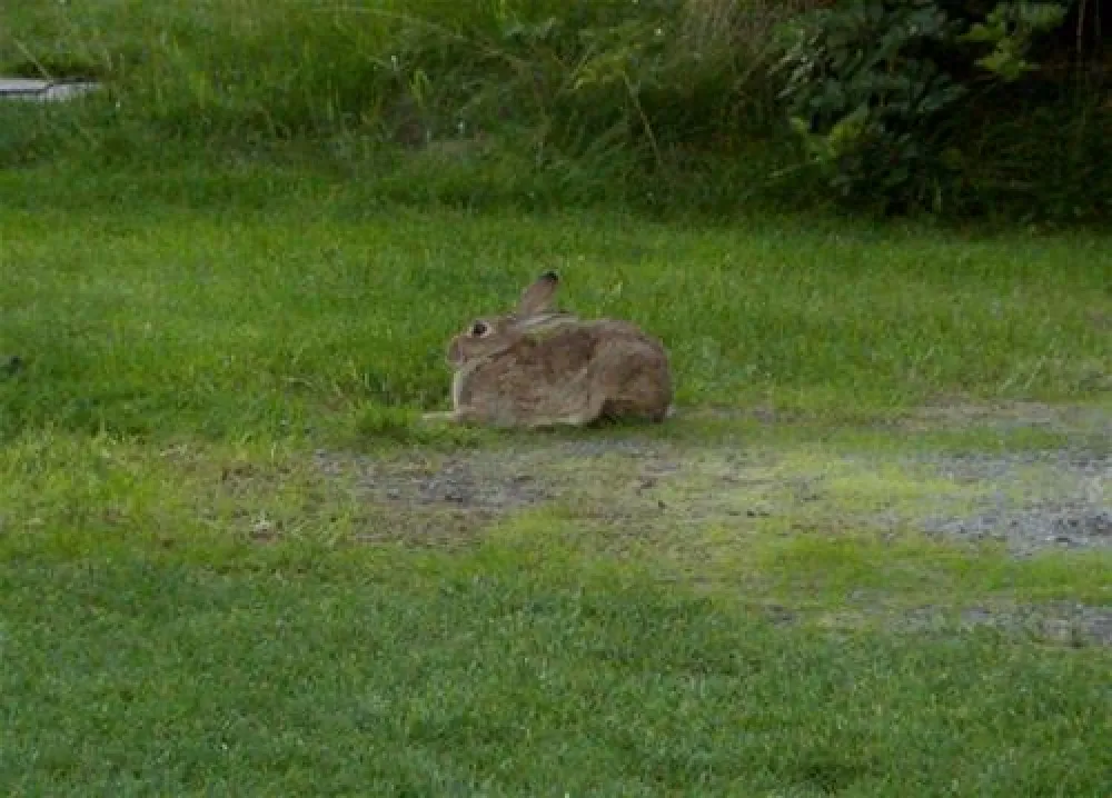 Nordsee-Camp Norddeich