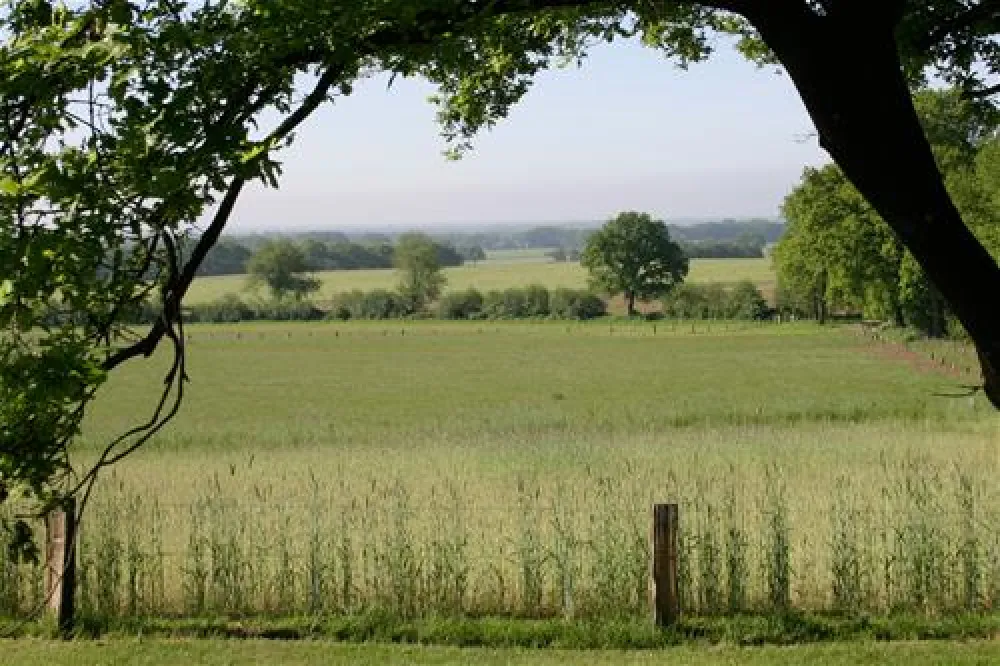 De Kuiperberg - Camping | Party Lounge | Chalets