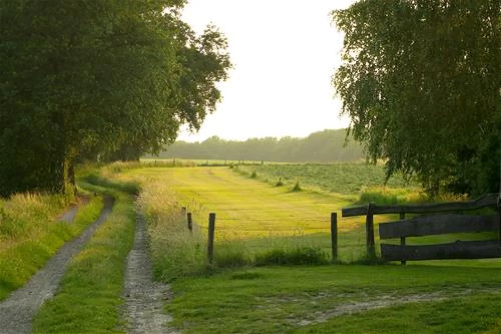 De Kuiperberg - Camping | Party Lounge | Chalets