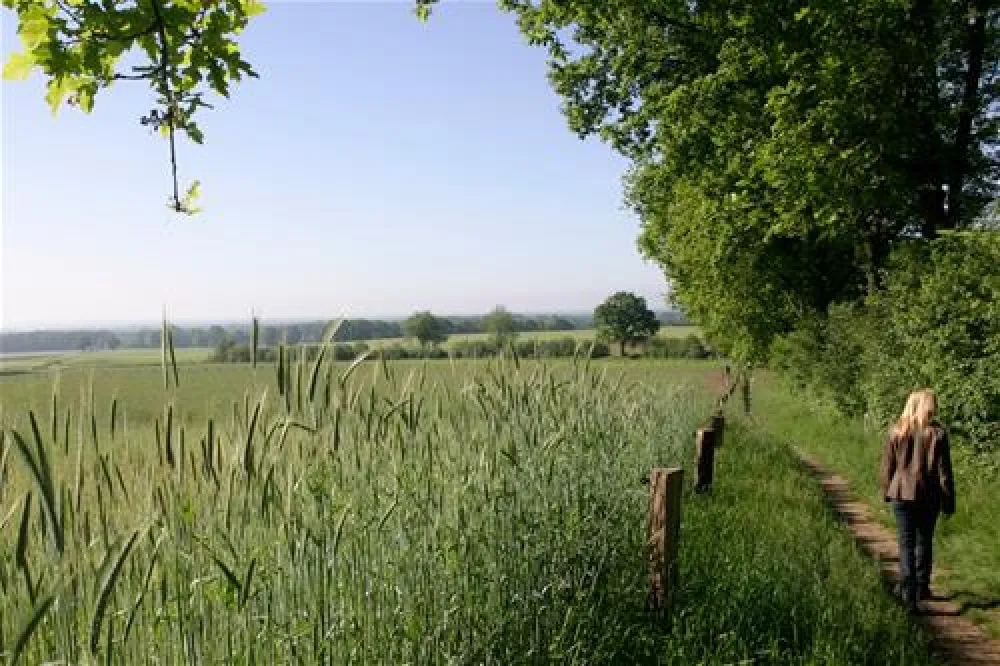 De Kuiperberg - Camping | Party Lounge | Chalets