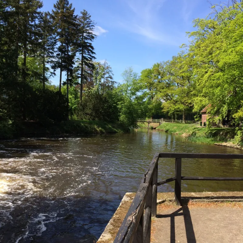 De Kuiperberg - Camping | Party Lounge | Chalets