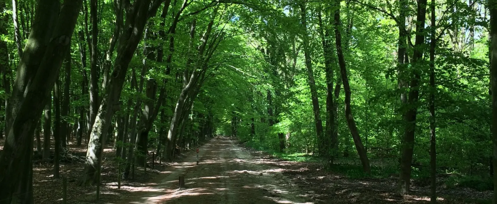 De Kuiperberg - Camping | Party Lounge | Chalets