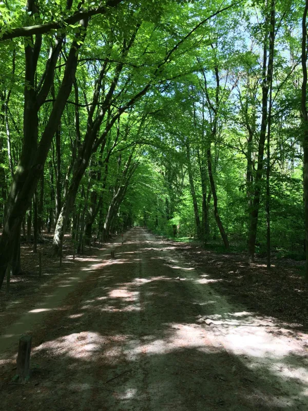 De Kuiperberg - Camping | Party Lounge | Chalets