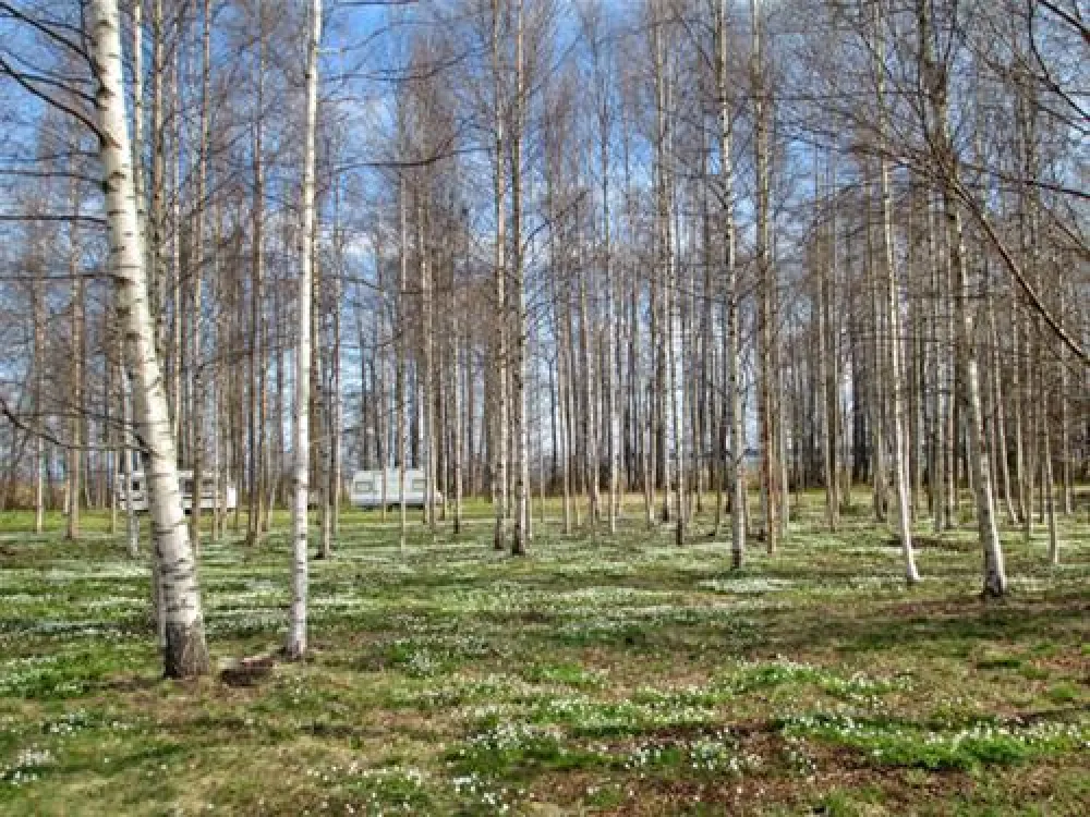 Lepispea Caravan & Camping