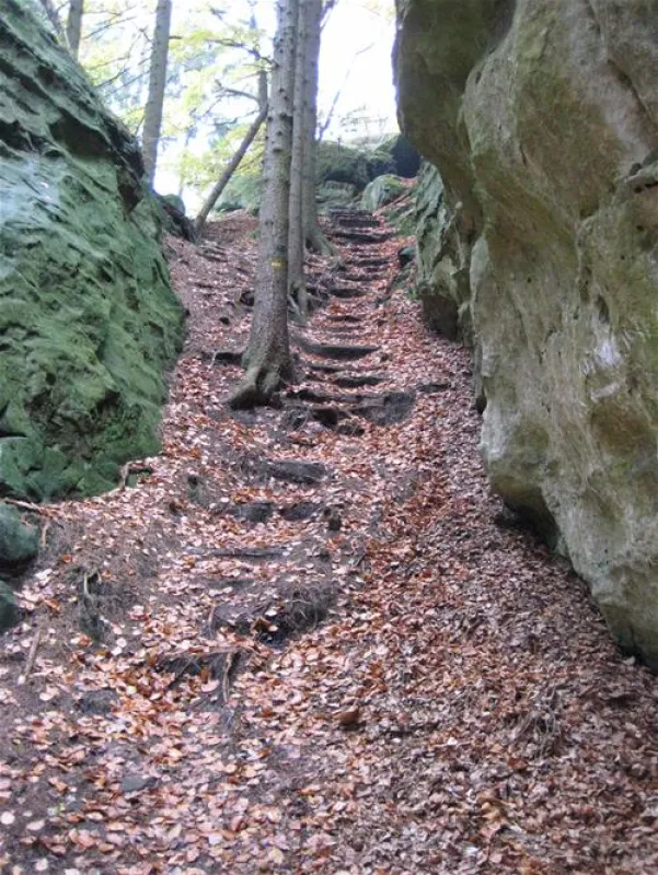 Europacamping Nommerlayen