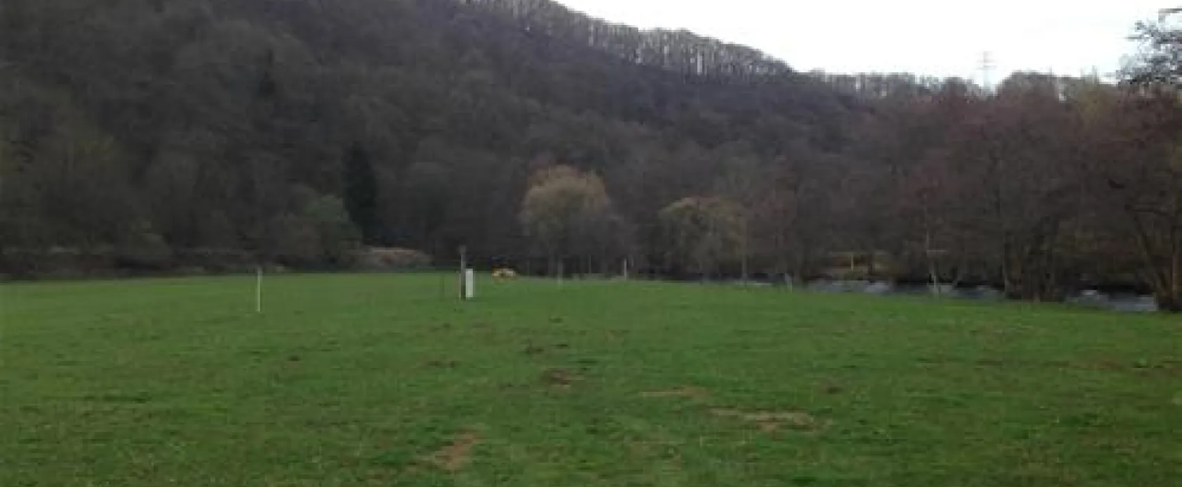 Camping Gut Habersaul