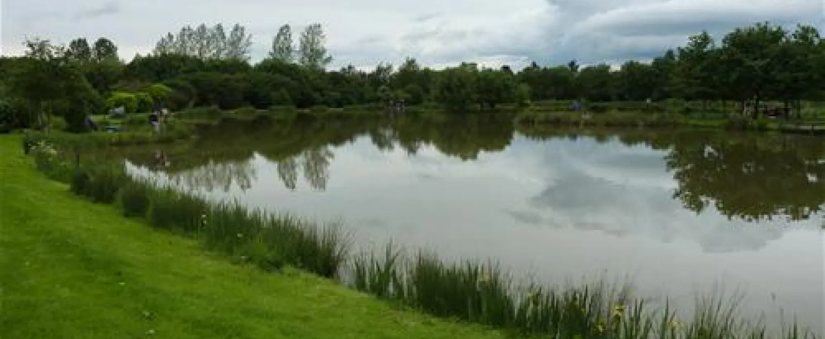 The Millpond