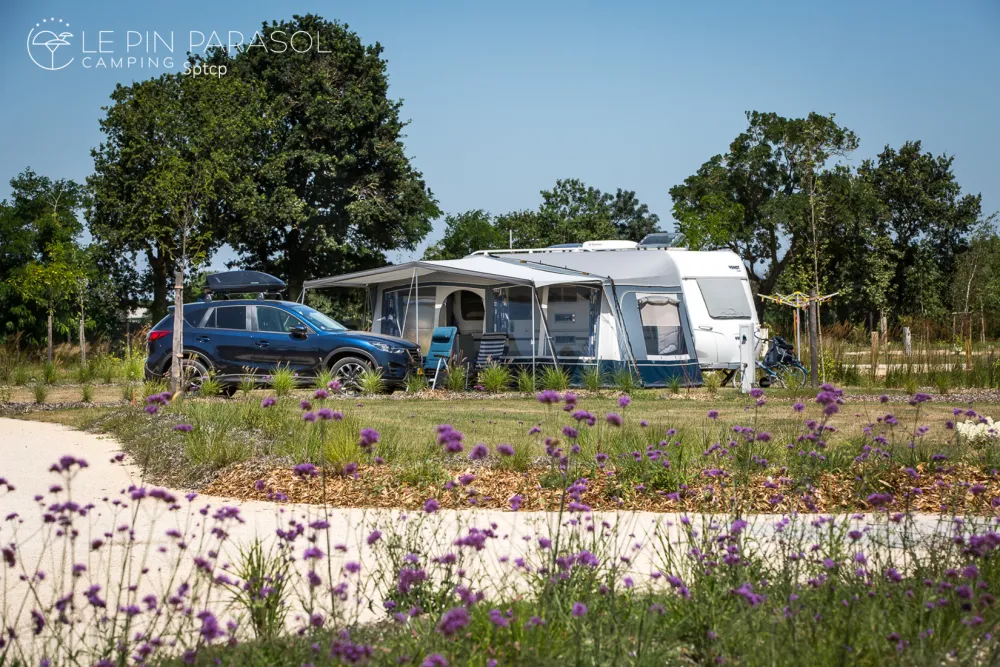 Camping Yelloh Village Le Pin Parasol
