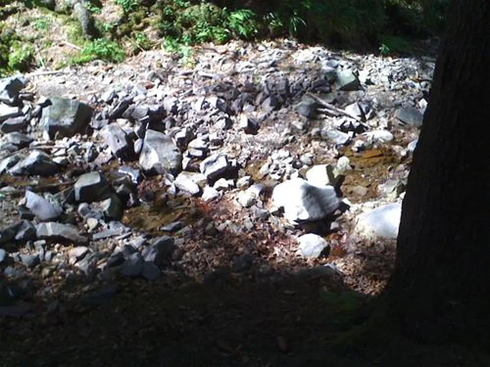 Campingplatz im Waldwinkel