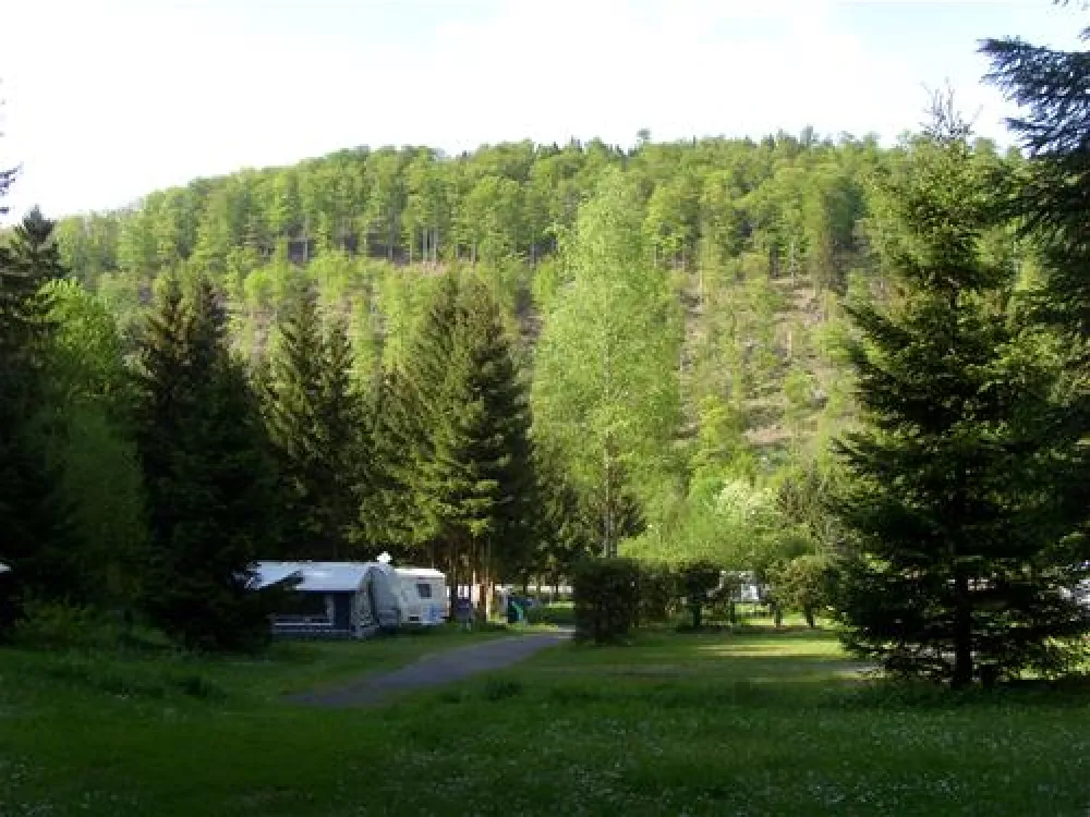 Campingplatz im Waldwinkel