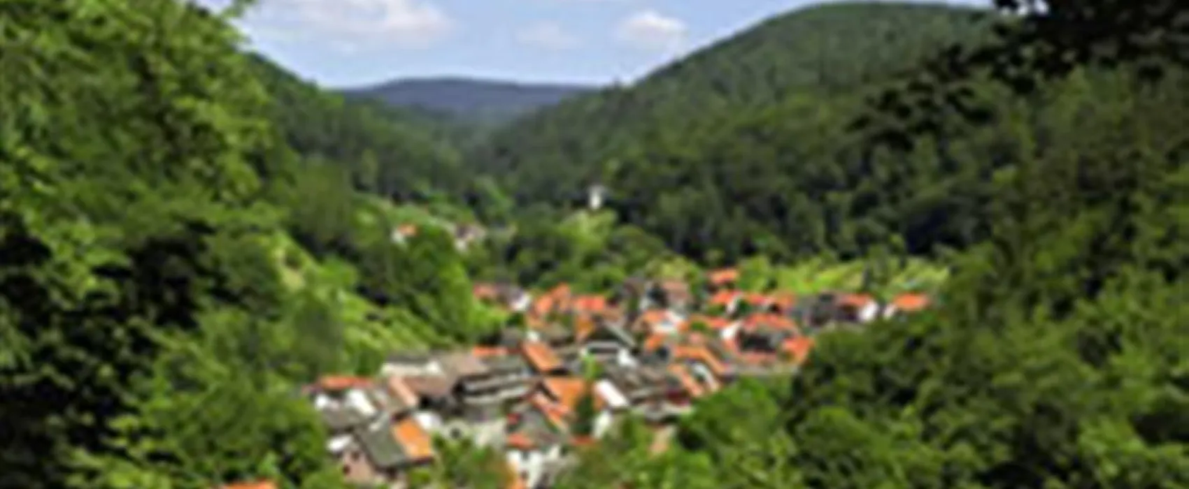 Campingplatz im Waldwinkel