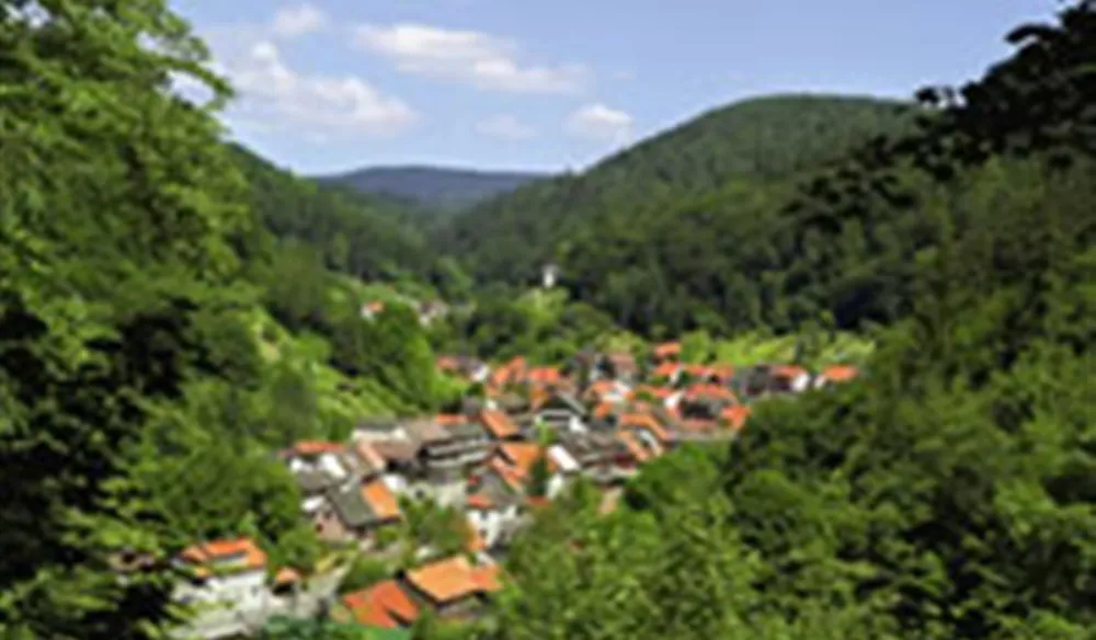 Campingplatz im Waldwinkel