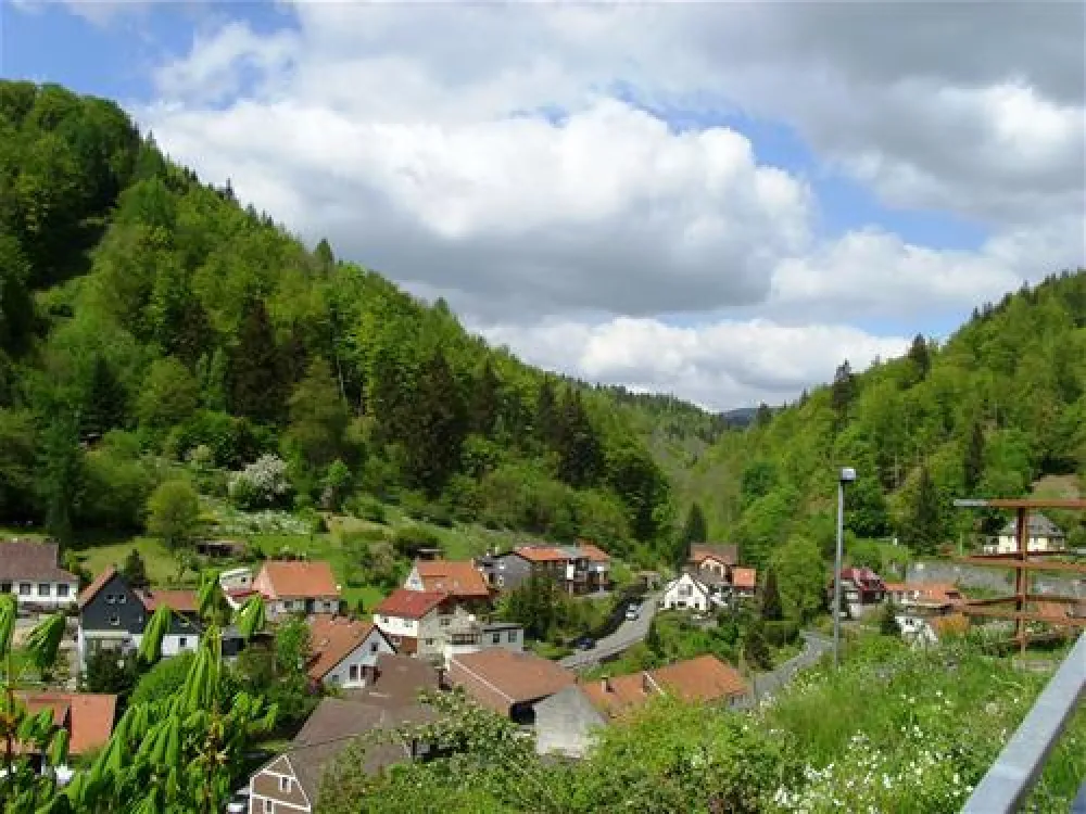 Campingplatz im Waldwinkel
