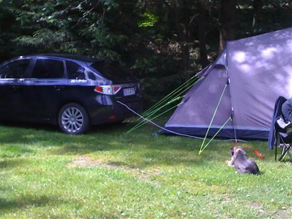 Campingplatz im Waldwinkel