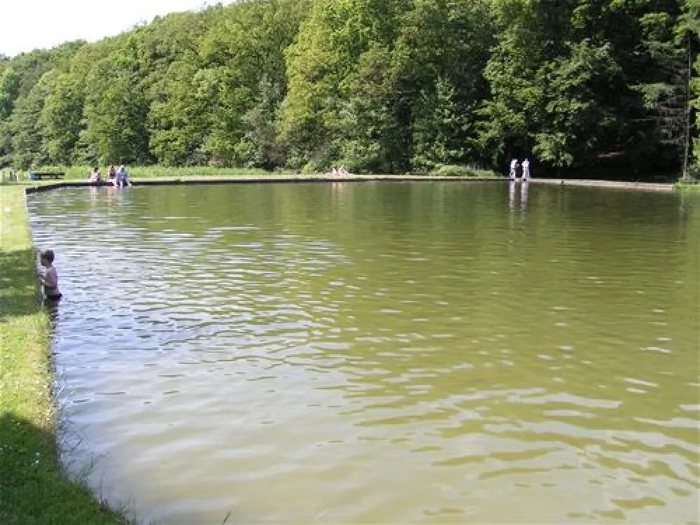 Campingplatz Waldwinkel