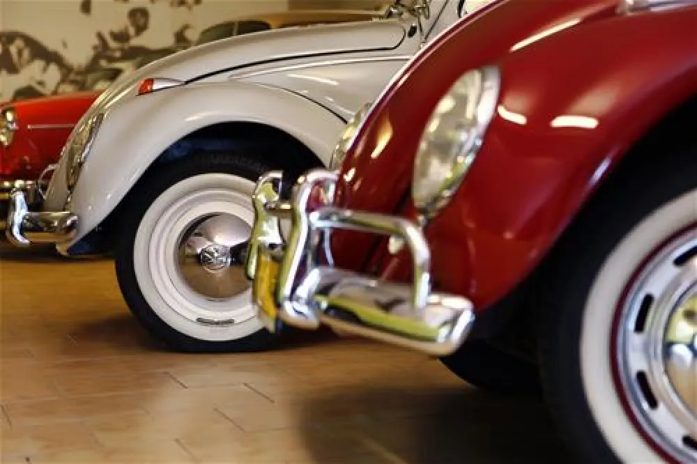 Camping Galeria Pepowo