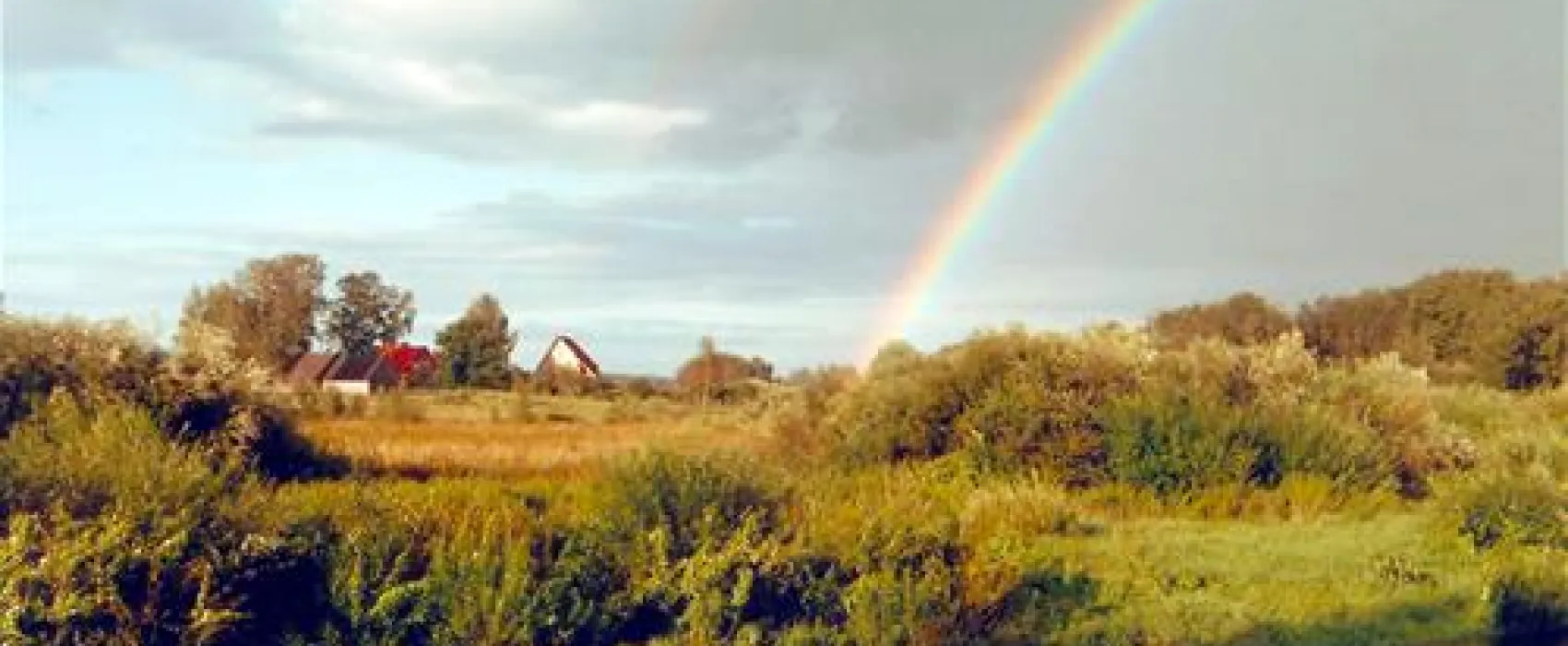 Kalda talu puhkekeskus camping