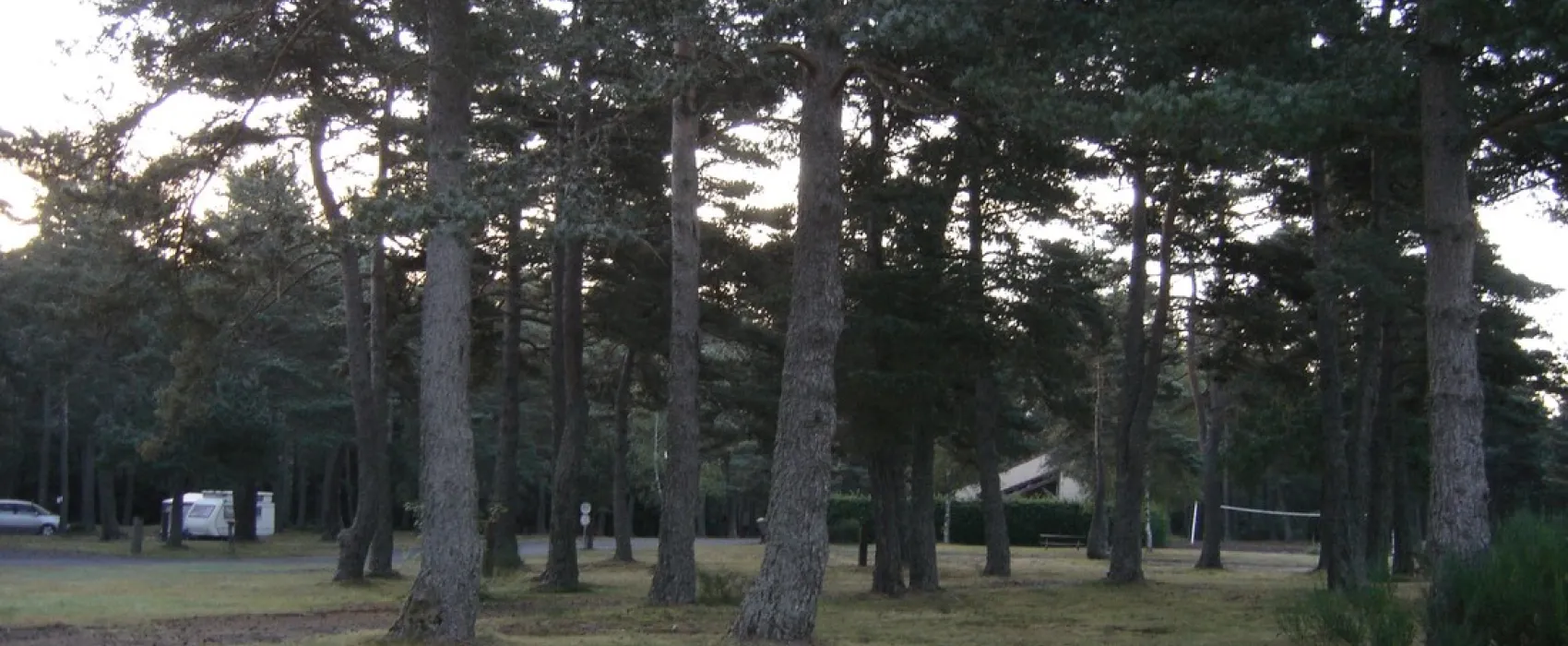 Camping Municipal Les Prades