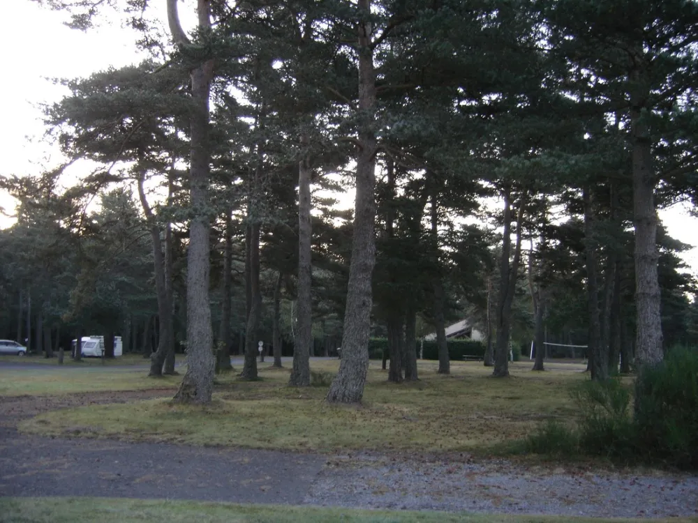 Camping Municipal Les Prades