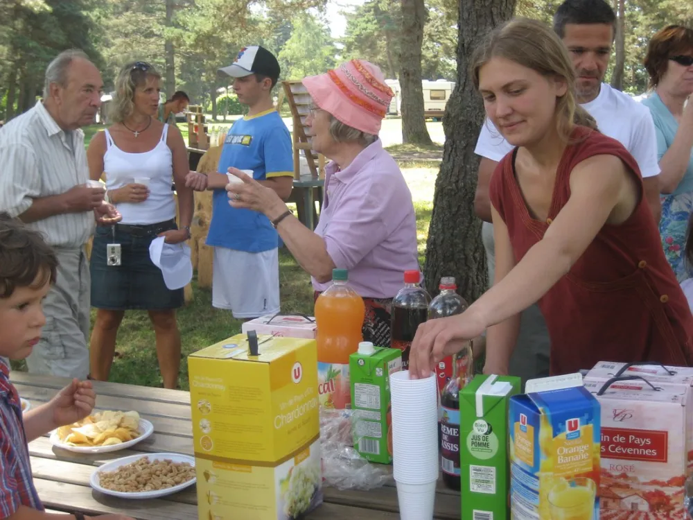 Camping Municipal Les Prades