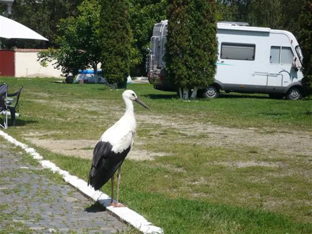 Camping Salisteanca