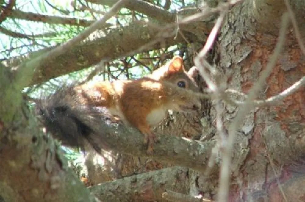 Camping Village Le Esperidi