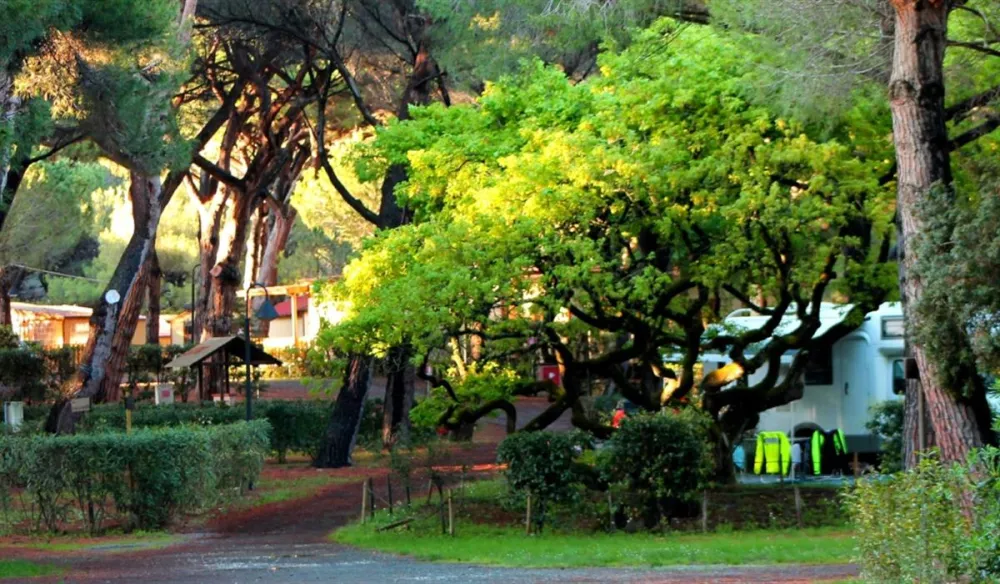 Camping Village Le Esperidi