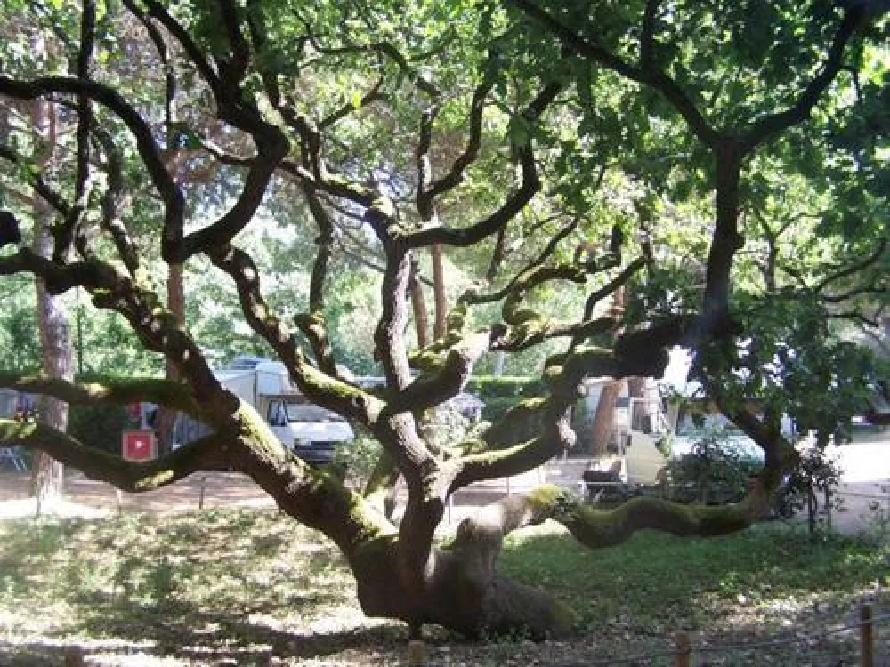 Camping Village Le Esperidi