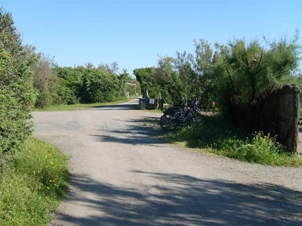 Camping Village Le Esperidi